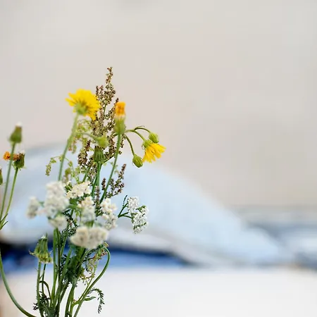 'zum Taenzelnden Pony'