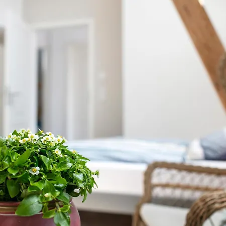 بيت ضيافة 'zum Taenzelnden Pony' لودفيغسفيلده