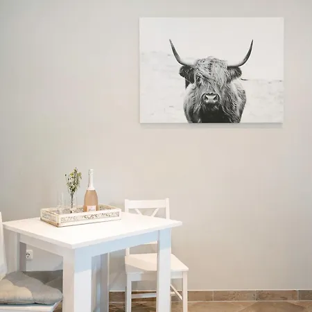 بيت ضيافة 'zum Taenzelnden Pony'