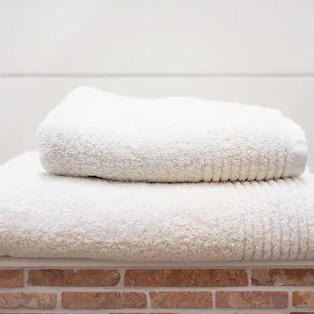 بيت ضيافة 'zum Taenzelnden Pony'