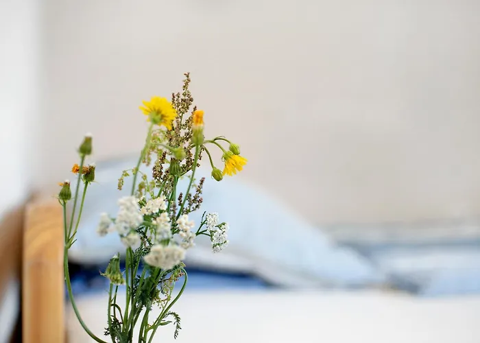 'zum Taenzelnden Pony'