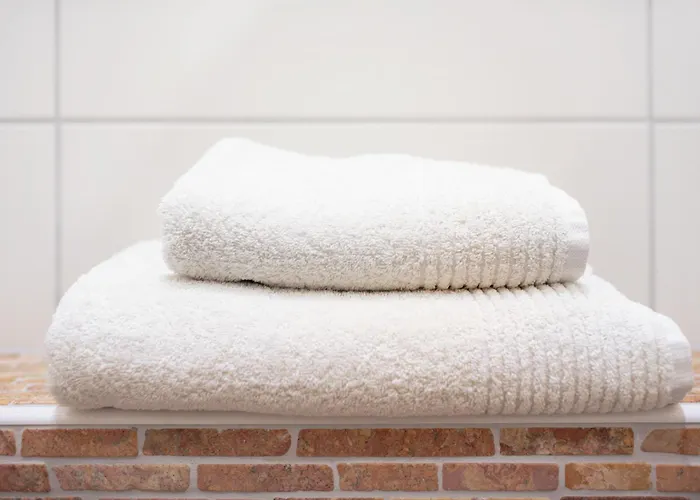 Casa de hóspedes 'zum Taenzelnden Pony'