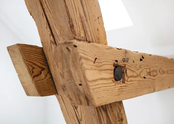 Casa de hóspedes 'zum Taenzelnden Pony'